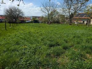 Prodej pozemku pro bydlení, Lechotice, 904 m2