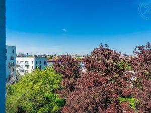 Prodej bytu 2+1, Praha - Strašnice, Sečská, 55 m2