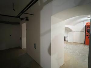 Prodej obchodního prostoru, Praha - Střížkov, Vysočanská, 280 m2