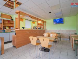 Prodej obchodního prostoru, Zalužany, 320 m2