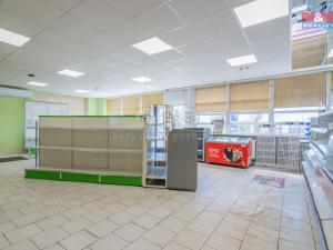 Prodej obchodního prostoru, Zalužany, 320 m2
