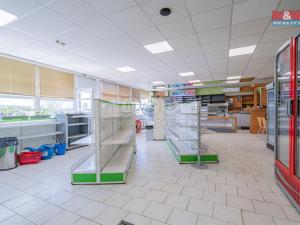 Prodej obchodního prostoru, Zalužany, 320 m2