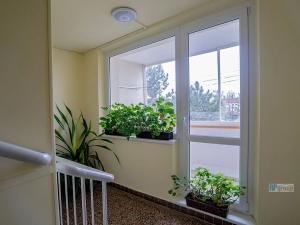 Prodej bytu 3+kk, Vyškov, Tyršova, 78 m2