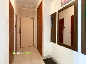 Prodej bytu 2+1, Habartov, Raisova, 58 m2