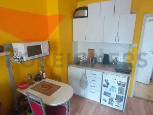 Pronájem bytu 1+kk, Brno, Mezírka, 25 m2