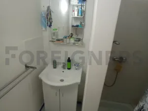 Pronájem bytu 1+kk, Brno, Mezírka, 25 m2