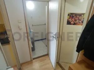 Pronájem bytu 1+kk, Brno, Mezírka, 25 m2