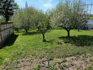 Prodej zahrady, Zákupy, Nové Zákupy, 850 m2