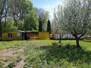 Prodej zahrady, Zákupy, Nové Zákupy, 850 m2