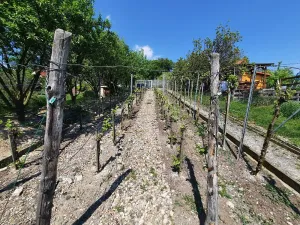 Prodej zahrady, Žitenice, 817 m2