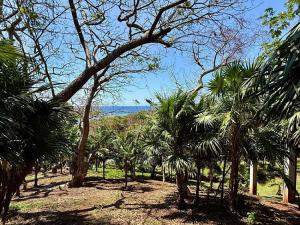 Prodej pozemku, Coxen Hole, Roatán, Honduras, 1902 m2