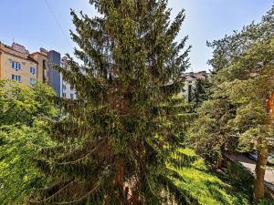 Prodej bytu 2+kk, Praha - Žižkov, Biskupcova, 48 m2