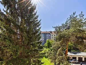 Prodej bytu 2+kk, Praha - Žižkov, Biskupcova, 48 m2