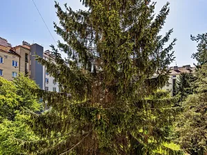 Prodej bytu 2+kk, Praha - Žižkov, Biskupcova, 48 m2