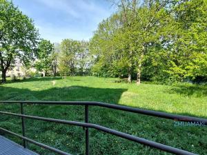 Pronájem bytu 1+1, Opava, U Hliníku, 60 m2