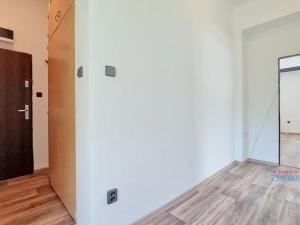 Pronájem bytu 1+1, Opava, U Hliníku, 60 m2