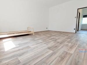 Pronájem bytu 1+1, Opava, U Hliníku, 60 m2