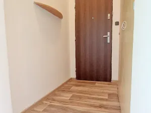 Pronájem bytu 1+1, Opava, U Hliníku, 60 m2