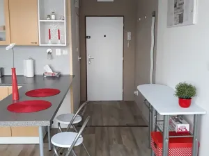 Pronájem bytu 1+1, Milevsko, J. A. Komenského, 39 m2