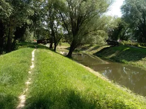 Prodej rodinného domu, Brno, Franzova, 160 m2