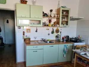 Prodej bytu 1+kk, Holubice, Lesní, 40 m2
