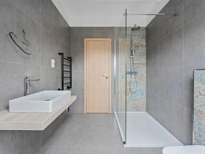 Pronájem rodinného domu, Příbor, Pod Haškovcem, 300 m2