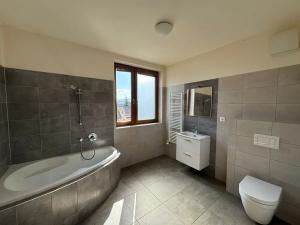 Pronájem bytu 2+kk, Frýdek-Místek, Čelakovského, 90 m2