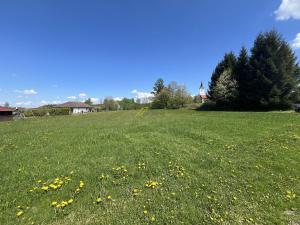Prodej pozemku, Soběnov, 4792 m2