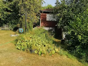 Prodej chaty, Dobřany, 54 m2