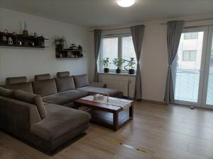 Pronájem bytu 2+kk, Olomouc, 60 m2