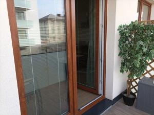 Pronájem bytu 2+kk, Olomouc, 60 m2