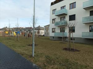 Pronájem bytu 2+kk, Olomouc, 60 m2