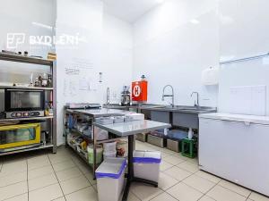 Prodej restaurace, Teplice, U divadla, 162 m2
