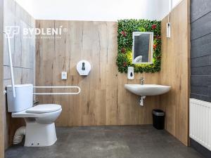 Prodej restaurace, Teplice, U divadla, 162 m2