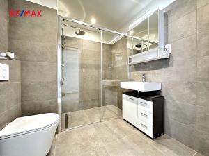 Pronájem bytu 1+kk, Kladno, Štěpána Rautenstraucha, 31 m2