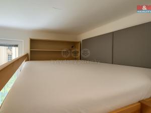 Pronájem bytu 1+kk, Praha - Holešovice, Pplk. Sochora, 19 m2