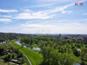Prodej bytu 2+1, Ostrava, Hilbertova, 57 m2