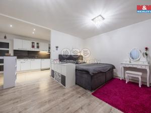 Pronájem bytu 1+1, Louny, Smetanova, 42 m2