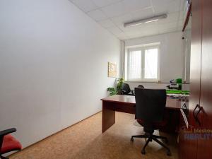 Pronájem kanceláře, Brandýs nad Labem-Stará Boleslav, Pražská, 292 m2