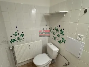 Prodej bytu 1+1, Sezimovo Ústí, Lipová, 46 m2