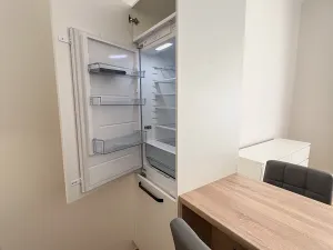 Pronájem bytu 1+kk, Praha - Vinohrady, Mánesova, 42 m2