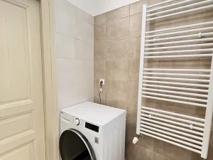 Pronájem bytu 1+kk, Praha - Vinohrady, Mánesova, 42 m2