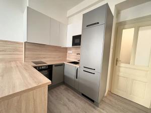 Pronájem bytu 2+kk, Praha - Vinohrady, Mánesova, 53 m2