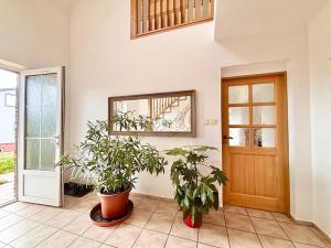 Prodej rodinného domu, Hrušovany nad Jevišovkou, Severní, 180 m2