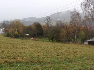 Dražba louky, Vyšší Brod, 315 m2
