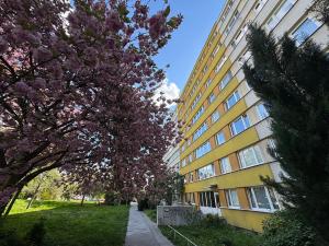 Prodej bytu 3+kk, Praha - Krč, Milevská, 60 m2