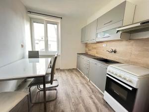 Pronájem bytu 1+1, Opava, Polanova, 38 m2