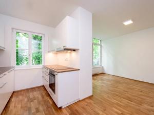 Pronájem bytu 1+kk, Praha - Libeň, Zenklova, 36 m2