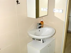 Pronájem bytu 1+1, Kurovice, 60 m2