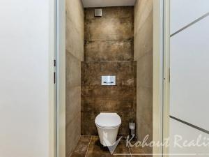 Pronájem bytu 1+1, Praha - Strašnice, Na Třebešíně, 50 m2